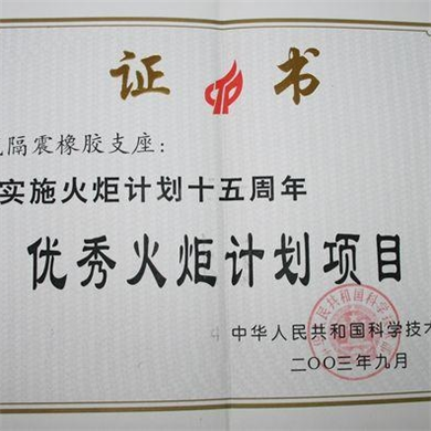优秀火炬计划项目证书